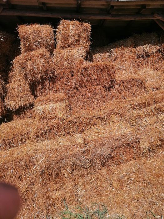 Słoma  kostka owsiana