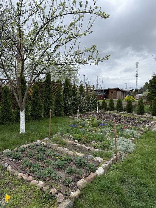 Działka rekreacyjna ROD z altanką  –Szczecinek, Sienkiewicza 10 A