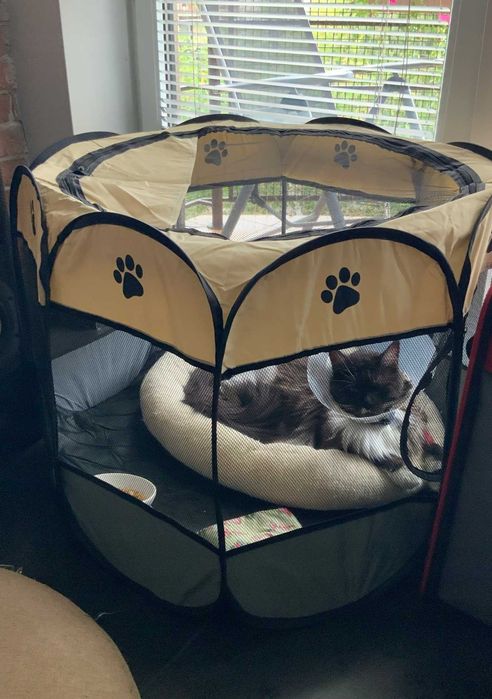 Kojec do domu dla psa kota królika XL 90x90cm składany