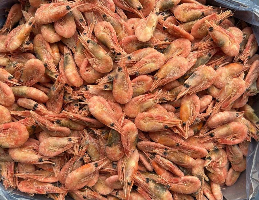 Раки,креветка,икра опт и розница