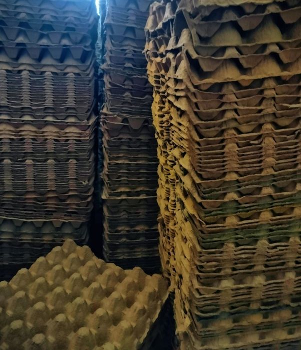 Wytłaczanki na jajka i opakowania na jajka 30 sztuk