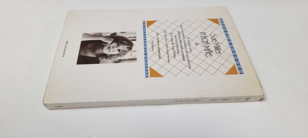 A Boa Mãe de Sue Miller