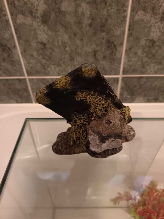 Aquário 30 Litros 50€