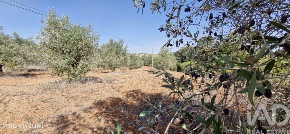 Terreno em Azambujeira e Malaqueijo de 12080,00 m2