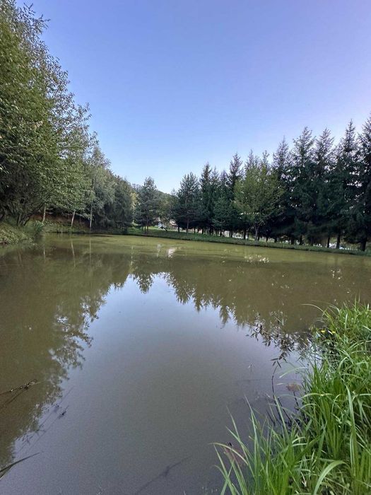 Продається будинок в с. Нересниця