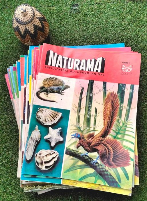 62 Fascículos da " Naturama: Enciclopédia do Mundo Animal" - anos 60