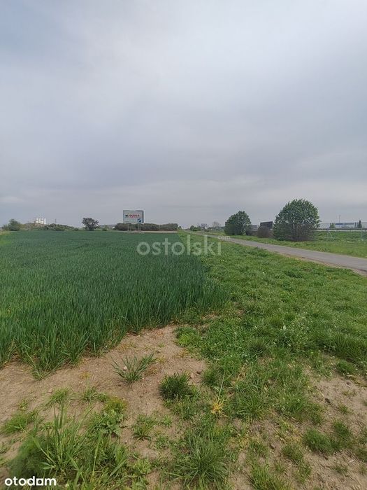 W strefie przemysłowej przy autostradzie