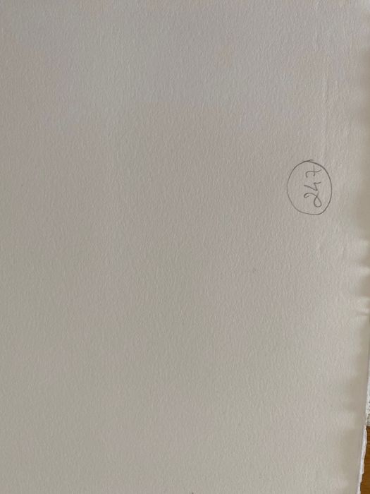 Serigrafia Graça Morais