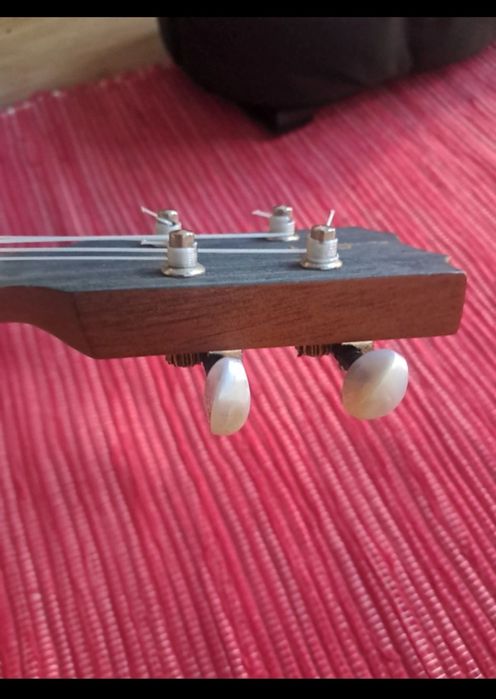 Ukelele TS Antonio Carvalho