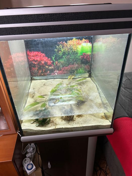 Aquario com móvel incluído
