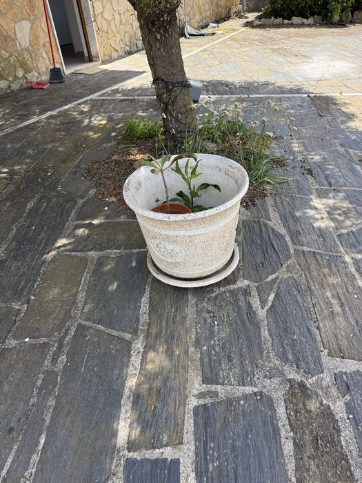 Vasos em pedra antigos