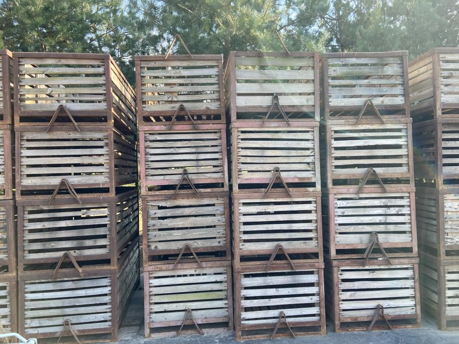 Skrzynie Skrzyniopalety Przechowywanie Warzyw Przechowywanie Drewna