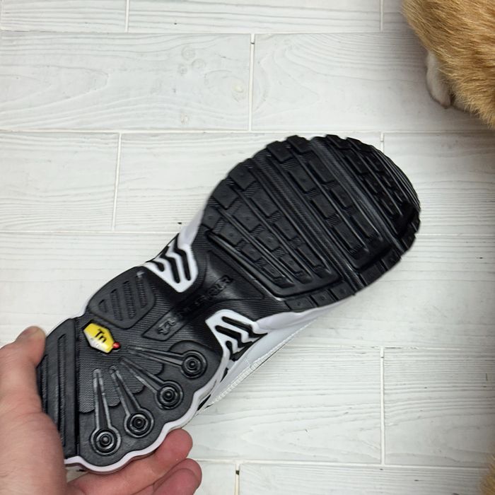 Чоловічі кросівки nike tn plus