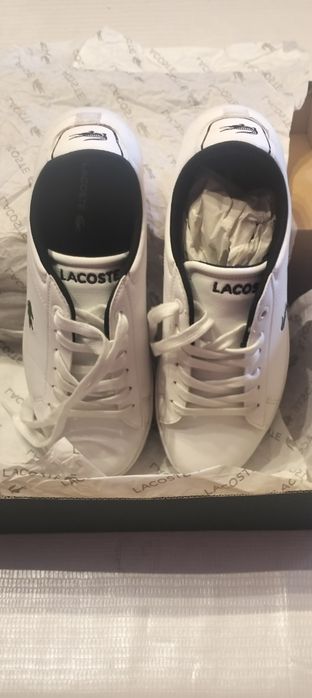 Sapatilhas junior ou mulher n. 39 Lacoste