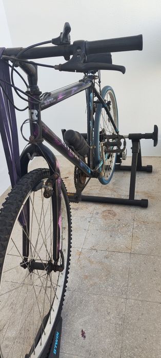 Rolo e bicicleta
