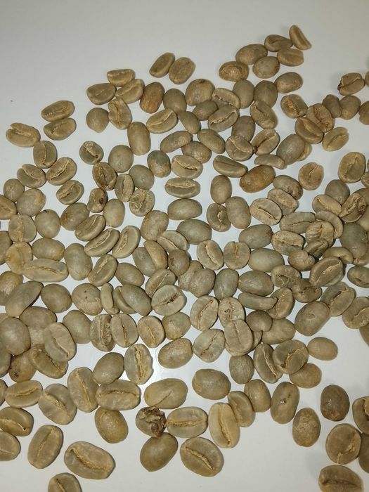 Café puro Arábica de alta qualidade