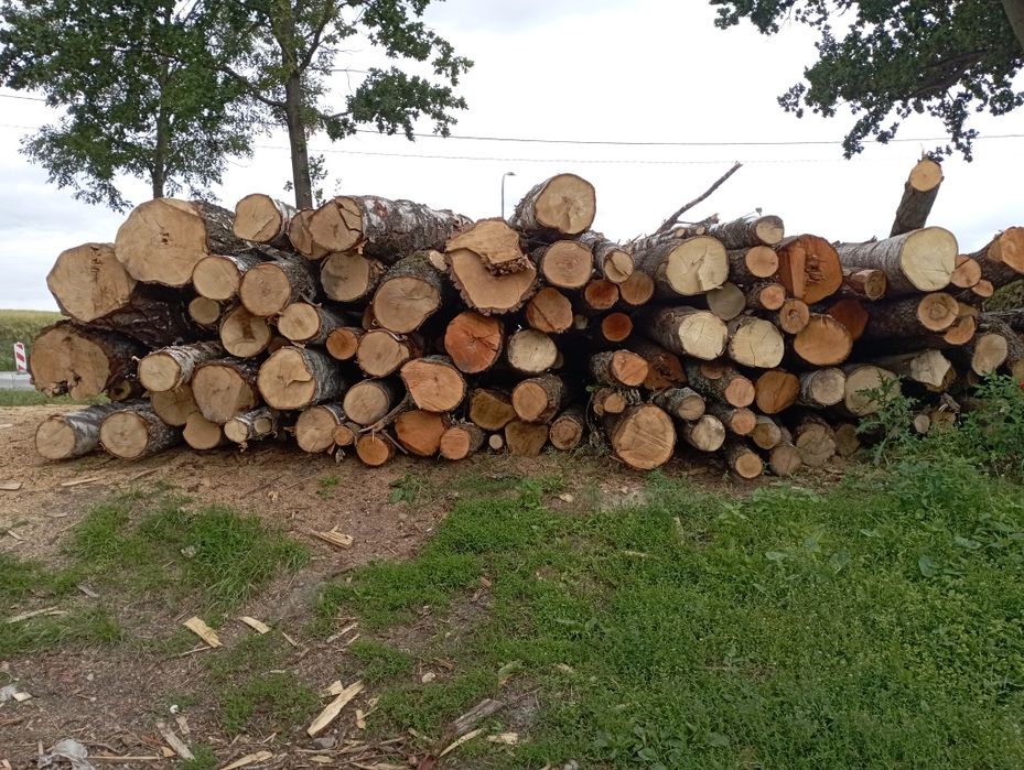 Drewno Opałowe Kominkowe