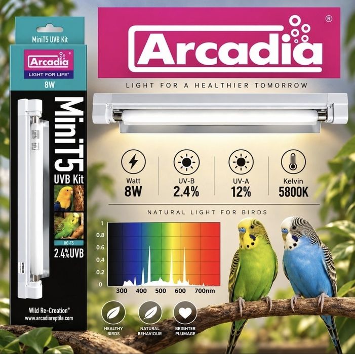 Лампа для птахів Arcadia зі світильником Mini Kit T5