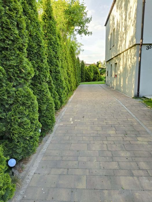 Dom na sprzedaż Chabielice Kolonia