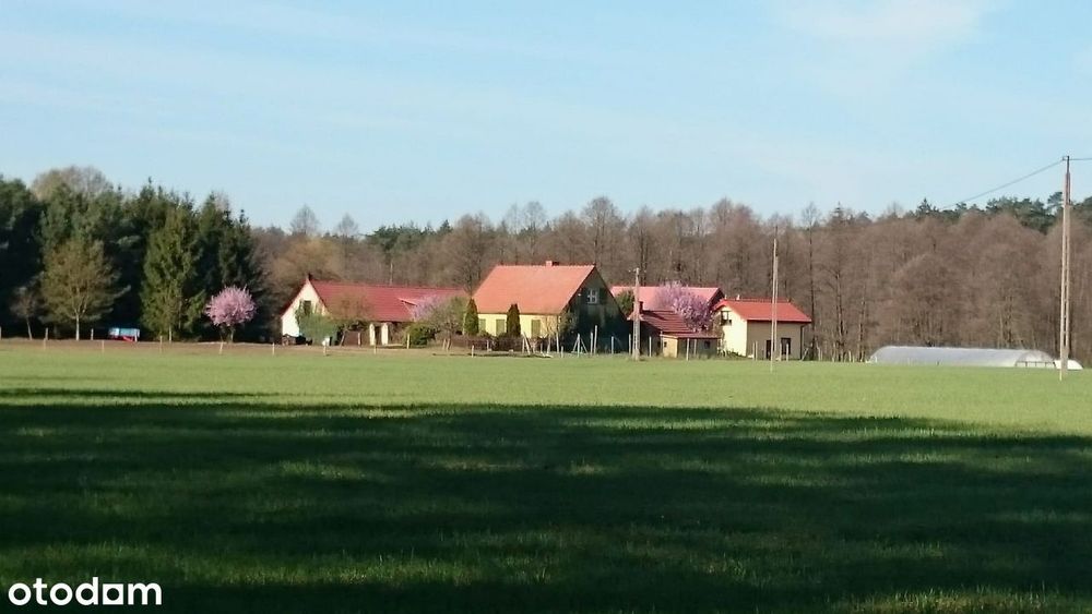 Dom, Gościeszyn