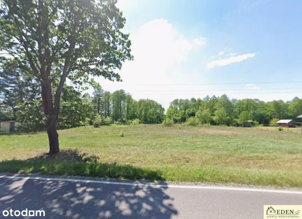 Działki inwestycyjne przy DW803ze stawem Zgórznica
