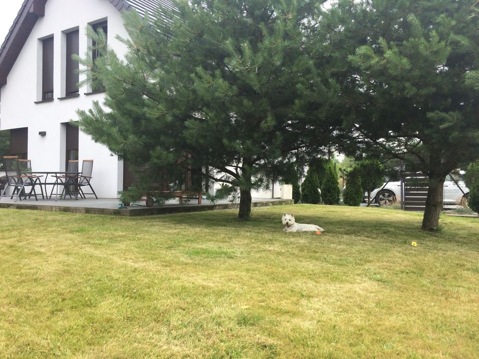 Do wynajęcia dom w Mieczewo