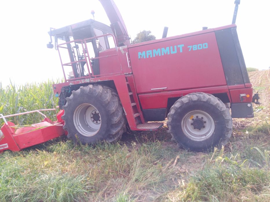 Sieczkarnia Mengele case mamut 7800, 4x4, silnik Mercedes, kemper