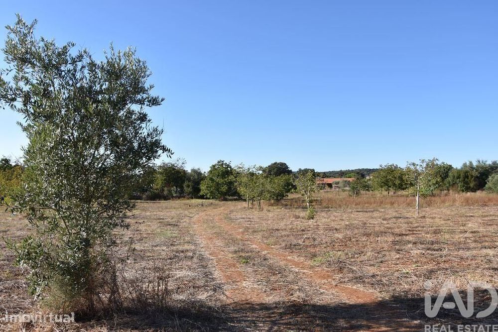 Terreno para construção em Areias e Pias de 8120,00 m2