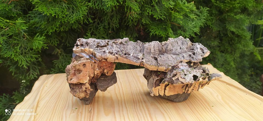 Grota z debu korkowego 28x13 cm.