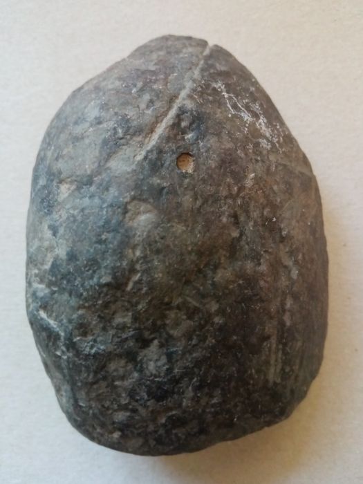 Amonit i odcisk amonitu w skale