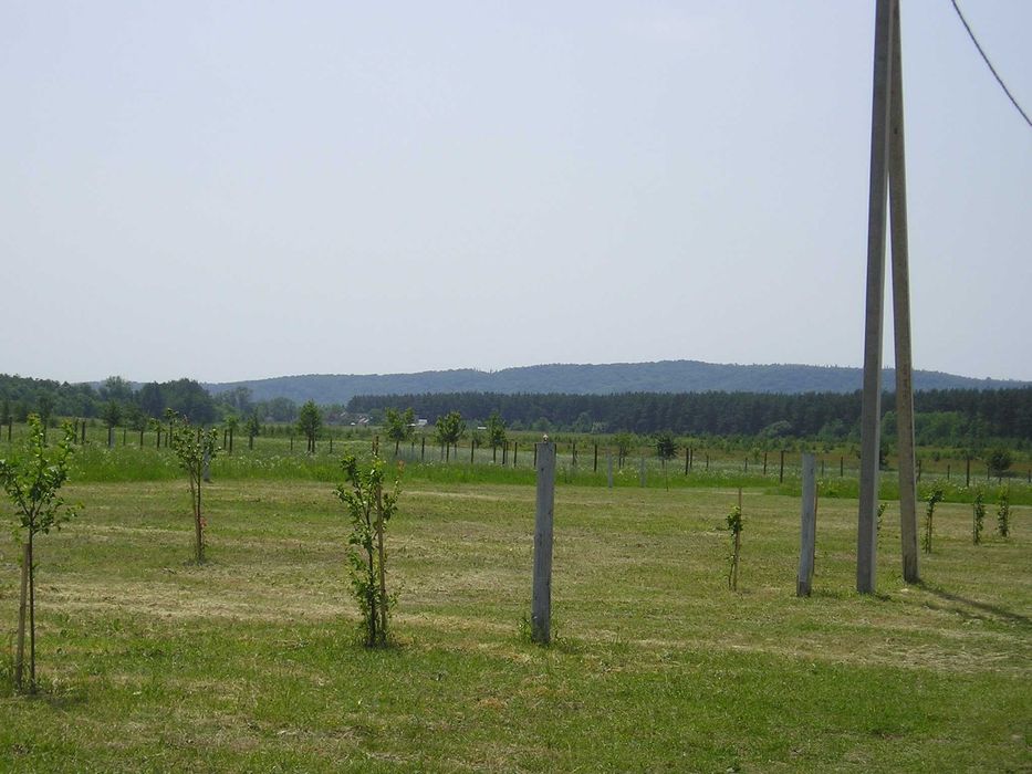 10 соток біля Дніпра та лісу з видом на Тарасову гору — 1500$