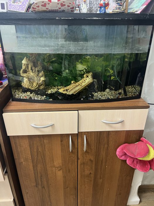 Аквариум на 100 л