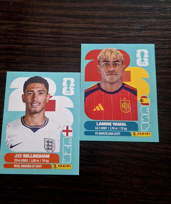 Стікери panini wc 2026