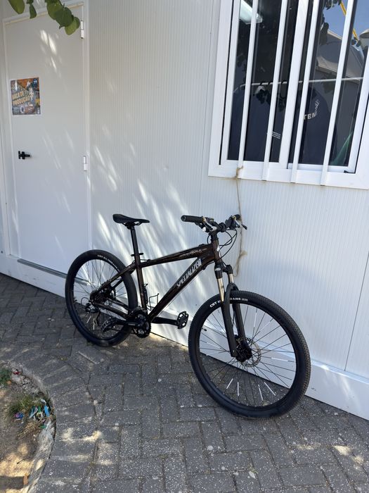 Specialized HardRock Comp.