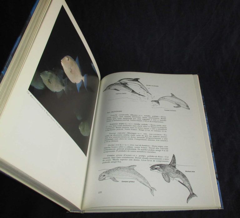 Livro Fauna Submarina Atlântica Luiz Saldanha