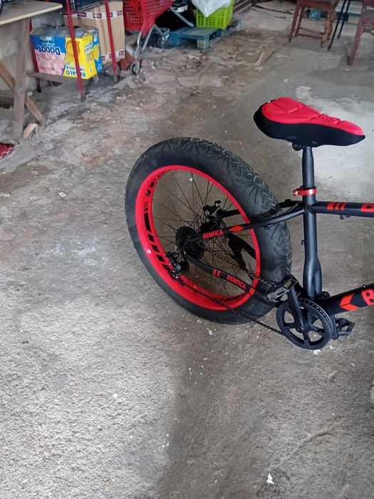 Bicicletas Rodas LARGAS