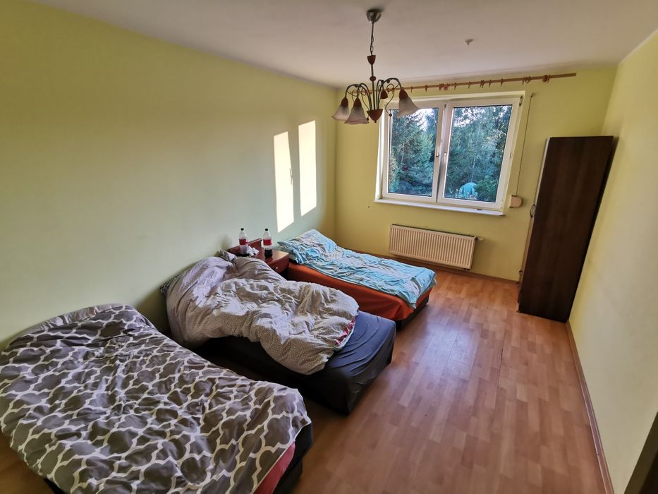 Wynajem pokoi/noclegów