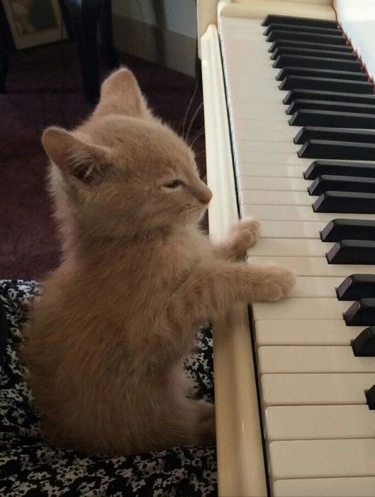 Nauka gry na pianinie
