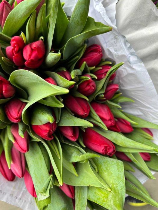 ОПТ! тюлпан ОПТ/ГУРТ 8 марта/березня вид 50 шт харьков вид 19,99 грн