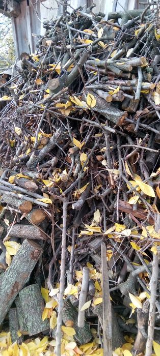 Дрова фруктовых деревьев 2000 грн