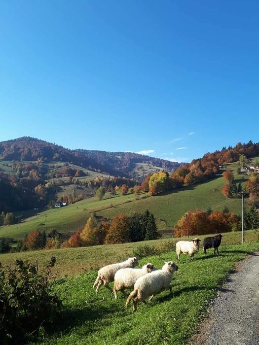 Noclegi, agroturystyka w gorach
