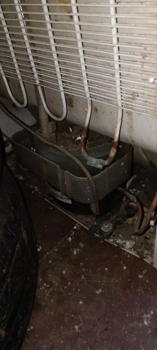 Продам холодильник норд двухкамерный 1500 грн + доп компрессор: 1 500 ...