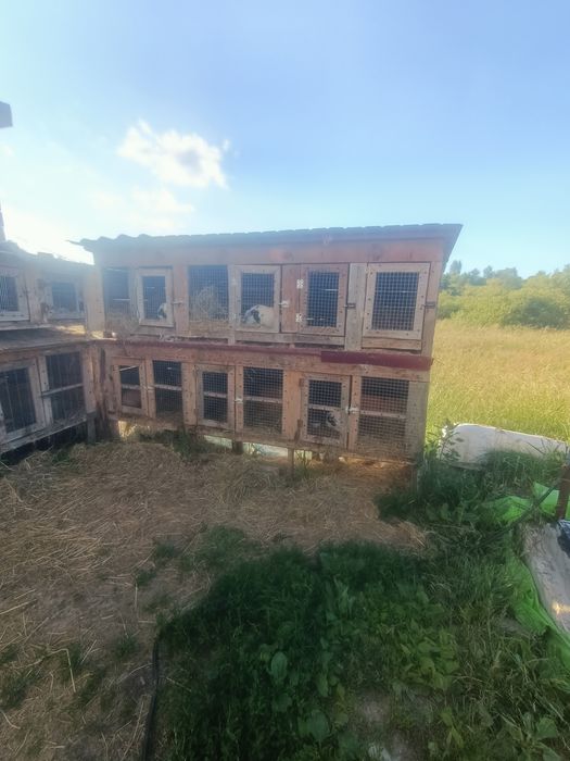 Продаж клітки для кроликів