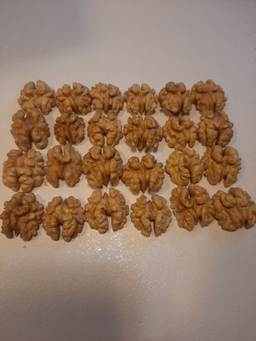 Грецький горіх волоський сухий світлий бабочки четвертинки грецкий оре