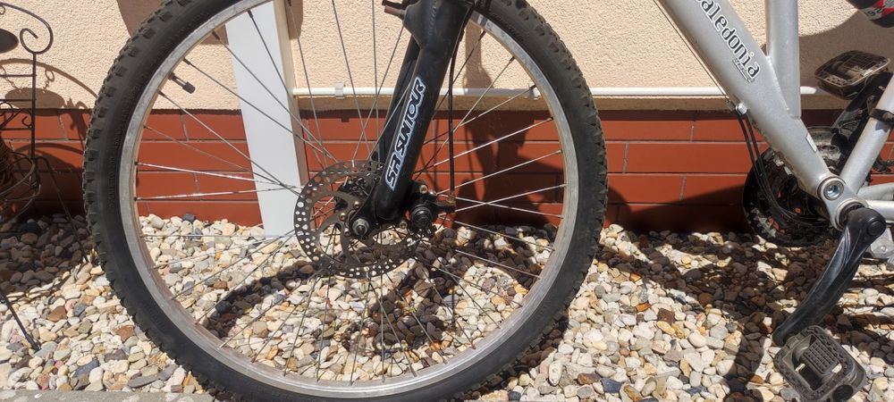 Rower caledonia hammer sprzedam