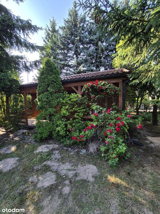 Działki rekreacyjne w Sierosławiu.