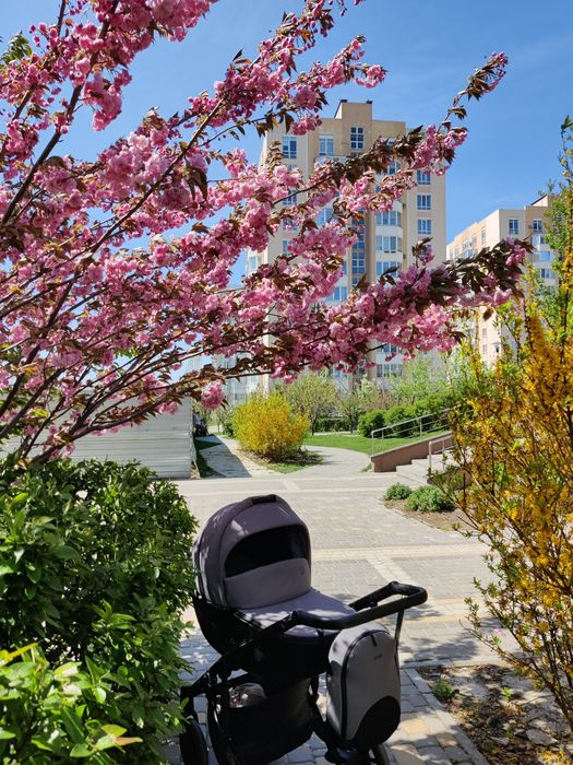 Коляска Anex M-Type Iron 2 в 1