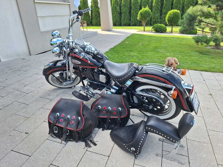 Harley Davidson FLSTSI Springer EVO Classic