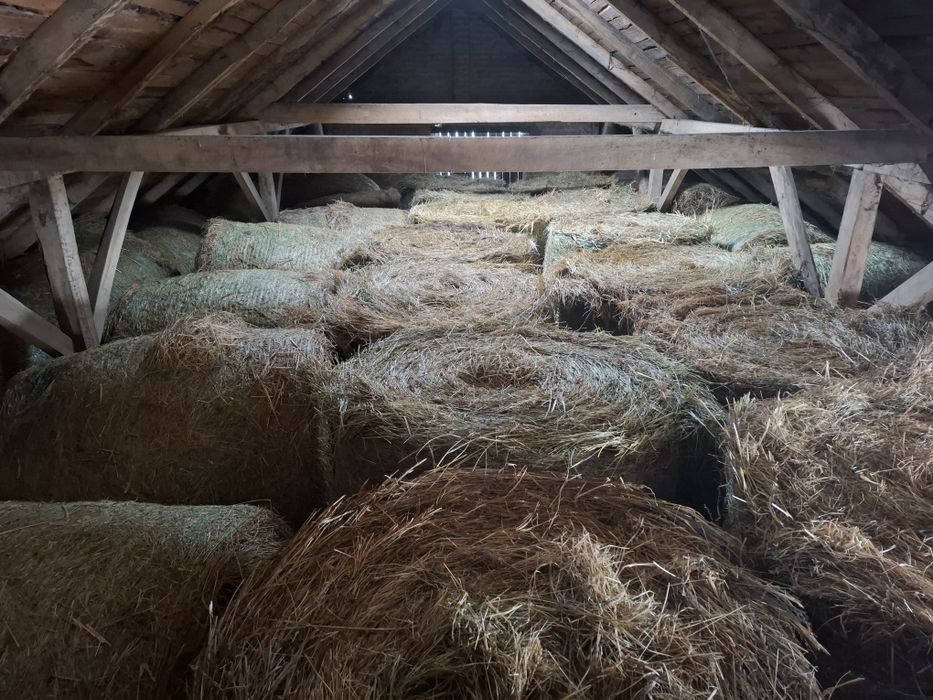 Sprzedam siano bela 140