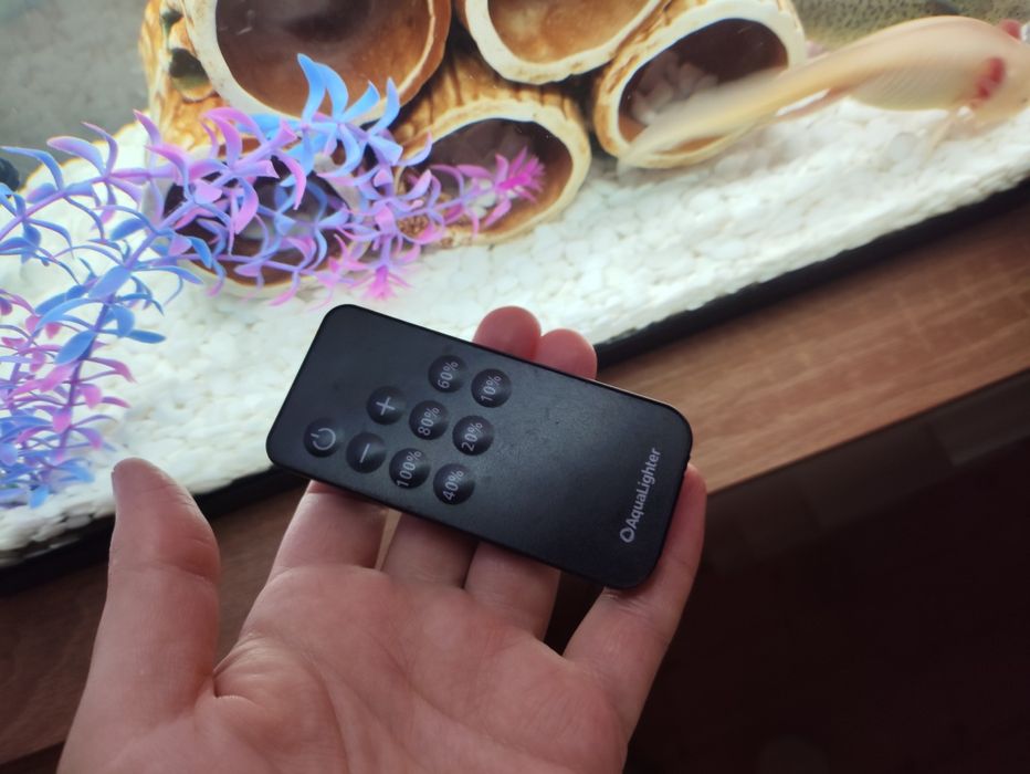 Акваріум 20 літрів